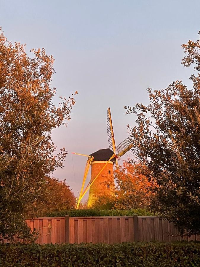 Gastenverblijf Bij De Buuren Dirksland Exterior foto